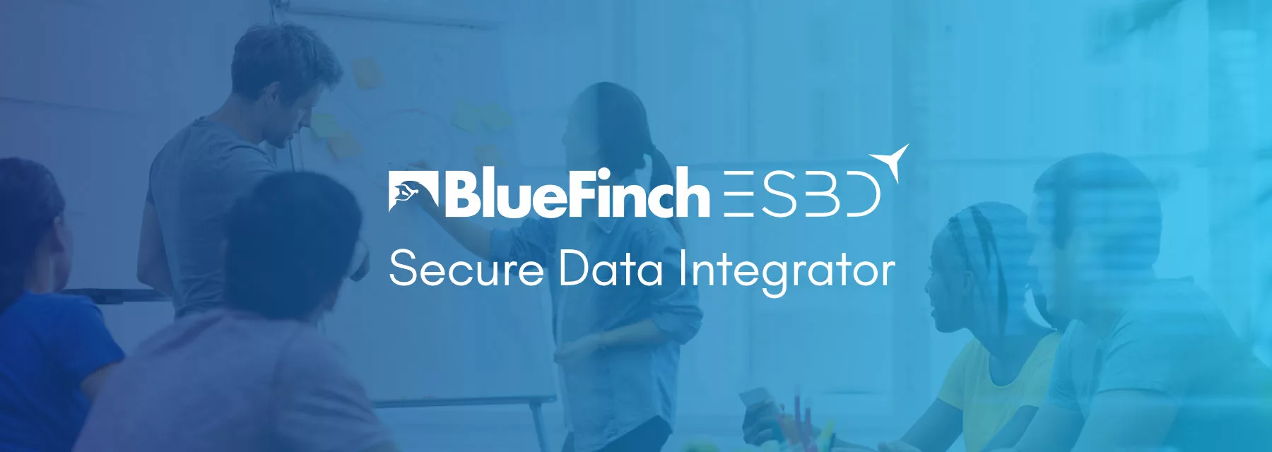 BlueFinch-ESBD - managed file transfer,mft