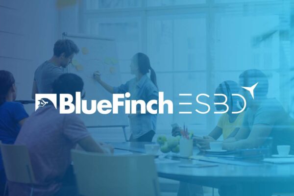 bluefinch-esbd automating encryption and decryption