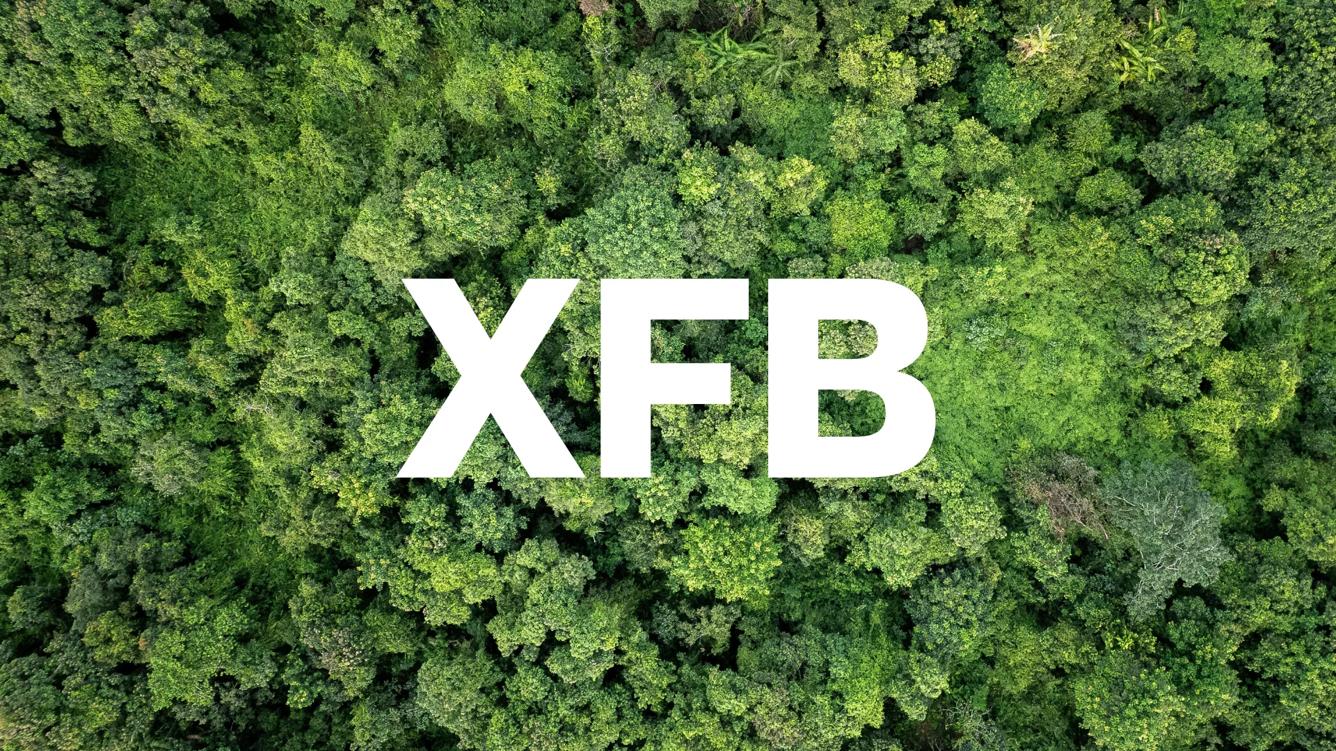 Bluefinch-esbd - White Paper XFB png