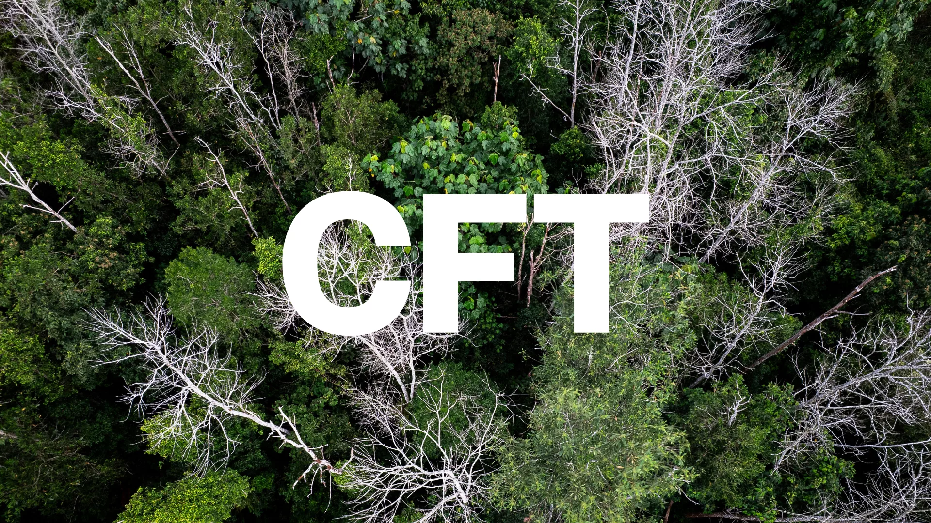 Bluefinch-esbd - White paper CFT png