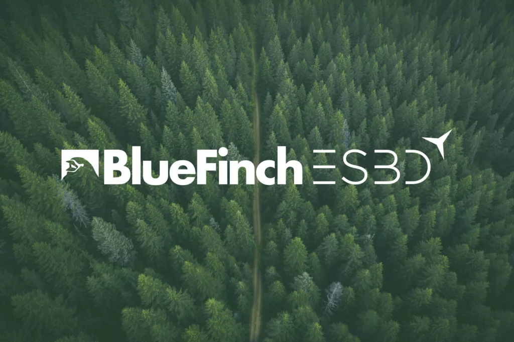 BlueFinch-ESBD Group: your trusted partner for securing your data - bluefinch esbd secure data integration forest green 1024x682 jpg Bluefinch-esbd - bluefinch esbd secure data integration forest green 1024x682 jpg