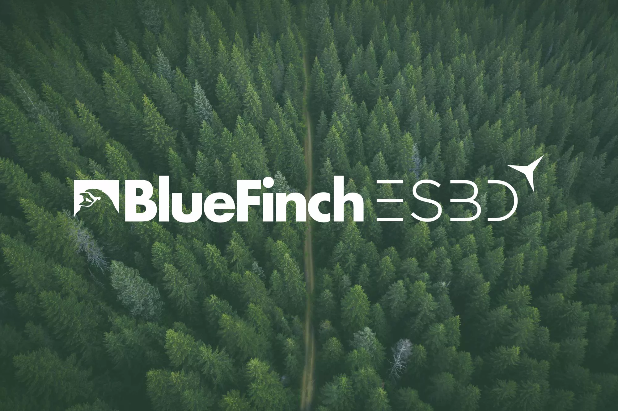 Bluefinch-esbd - bluefinch esbd secure data integration forest green jpg