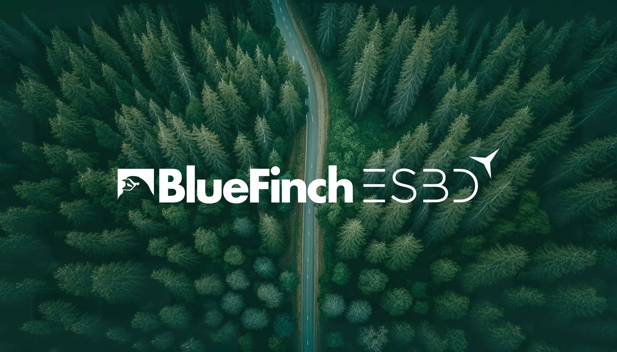 Bluefinch-esbd - bluefinch esbd secure data integration forest road jpg