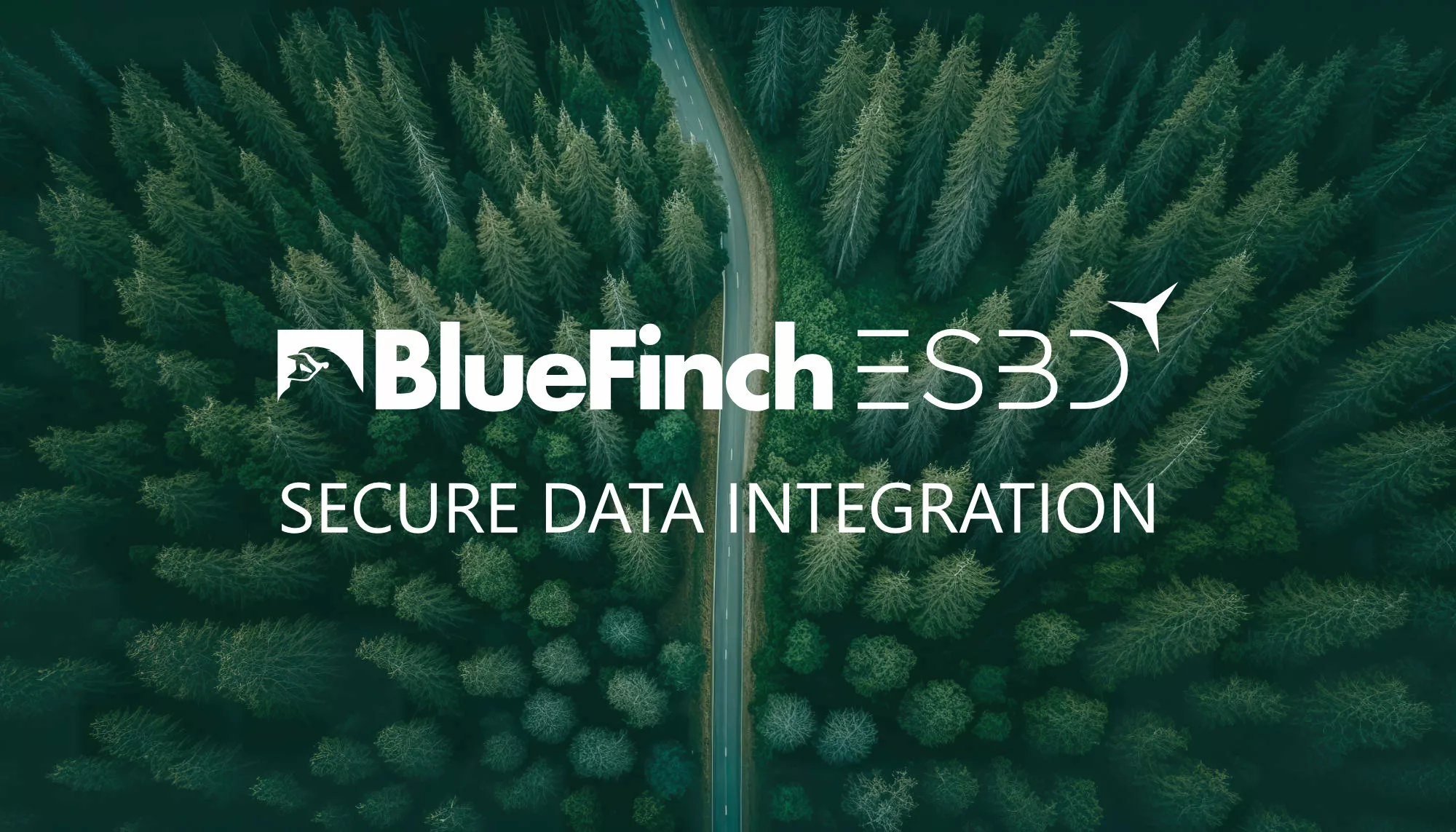 Bluefinch-esbd - bluefinch esbd secure data integration road car forest top view jpg