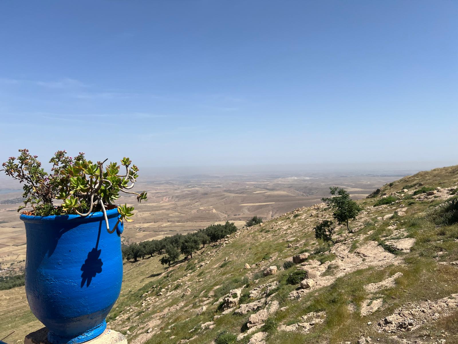 BlueFinch-ESBD au Maroc - Le séminaire au-delà des frontières - 9399a77e e256 41d0 87c3 1ad57475181d 9399a77e-e256-41d0-87c3-1ad57475181d