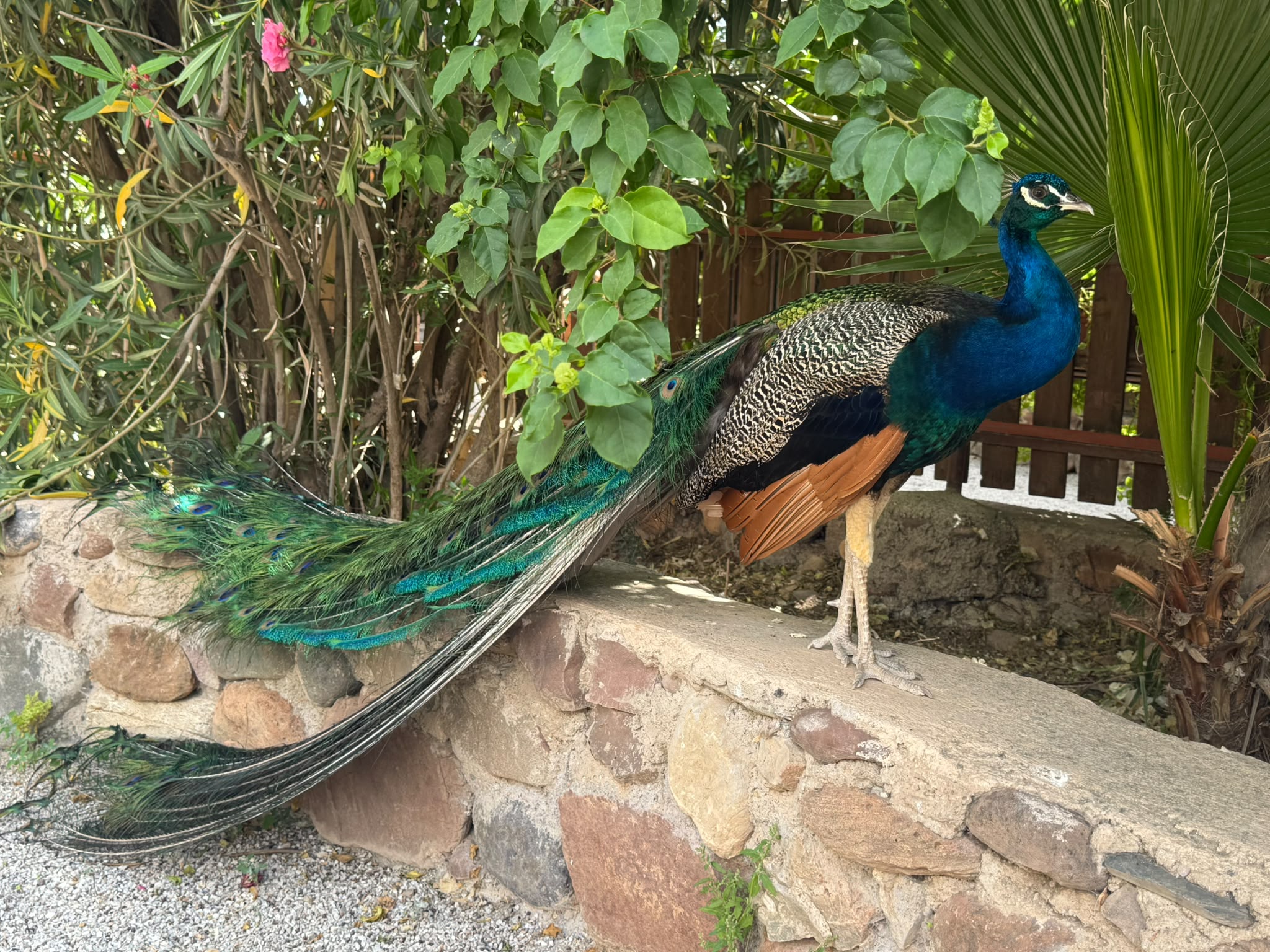 BlueFinch-ESBD au Maroc - Le séminaire au-delà des frontières - a25be047 cc49 498f 9764 3193bfd0ad6b a25be047-cc49-498f-9764-3193bfd0ad6b