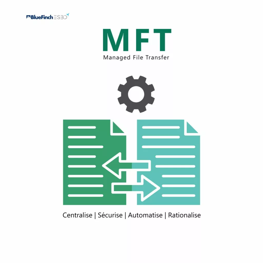 BlueFinch-ESBD &nbsp; SWIFT,MFT,managed file transfer,finance