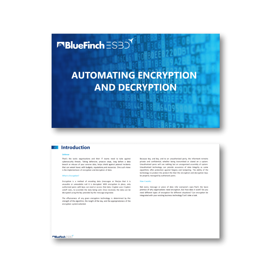 bluefinch-esbd automating encryption decryption